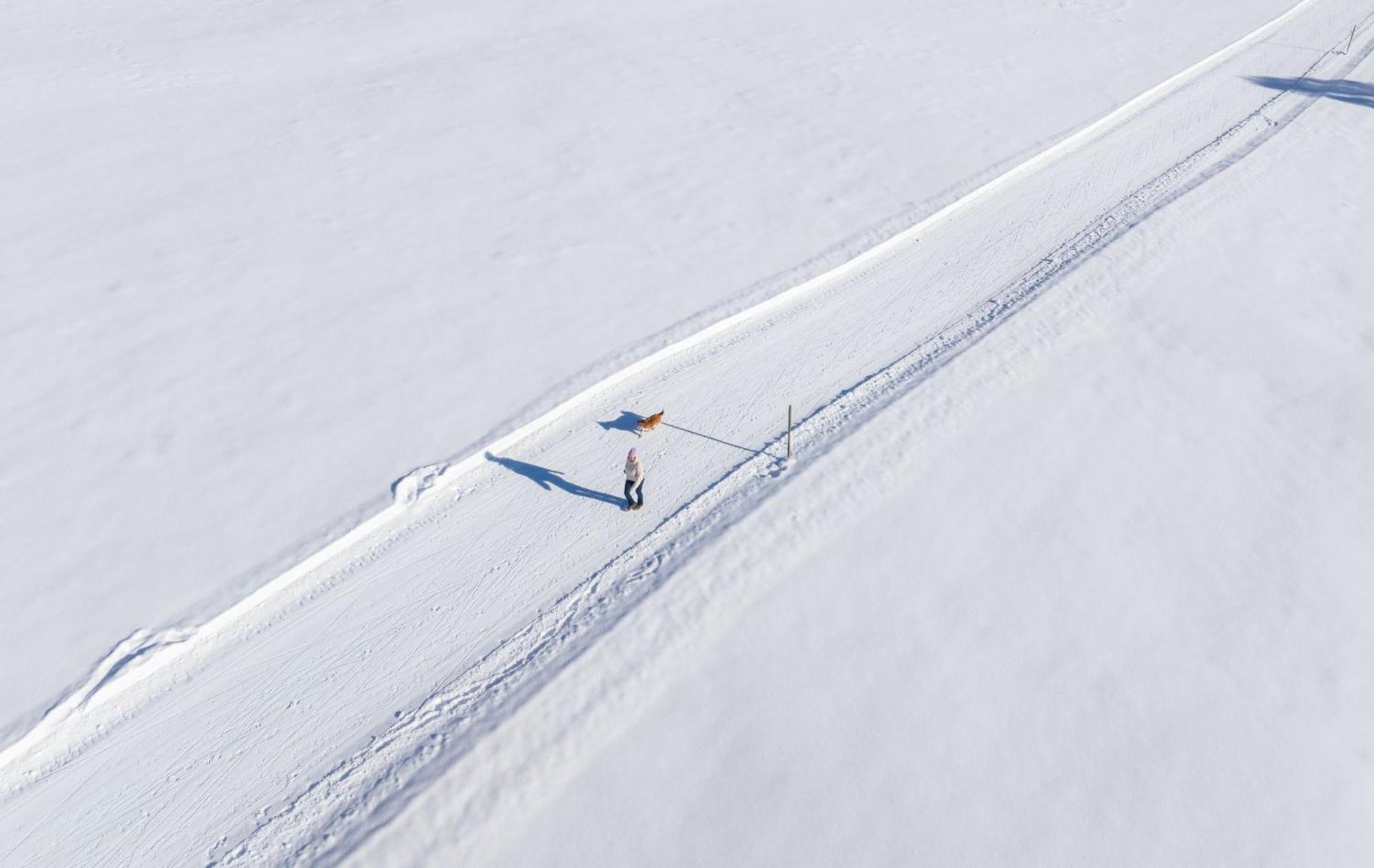 Almfrieden Hotel&Romantikchalet Ramsau am Dachstein Exteriör bild